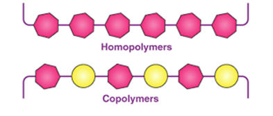 Copolymer PP Structure